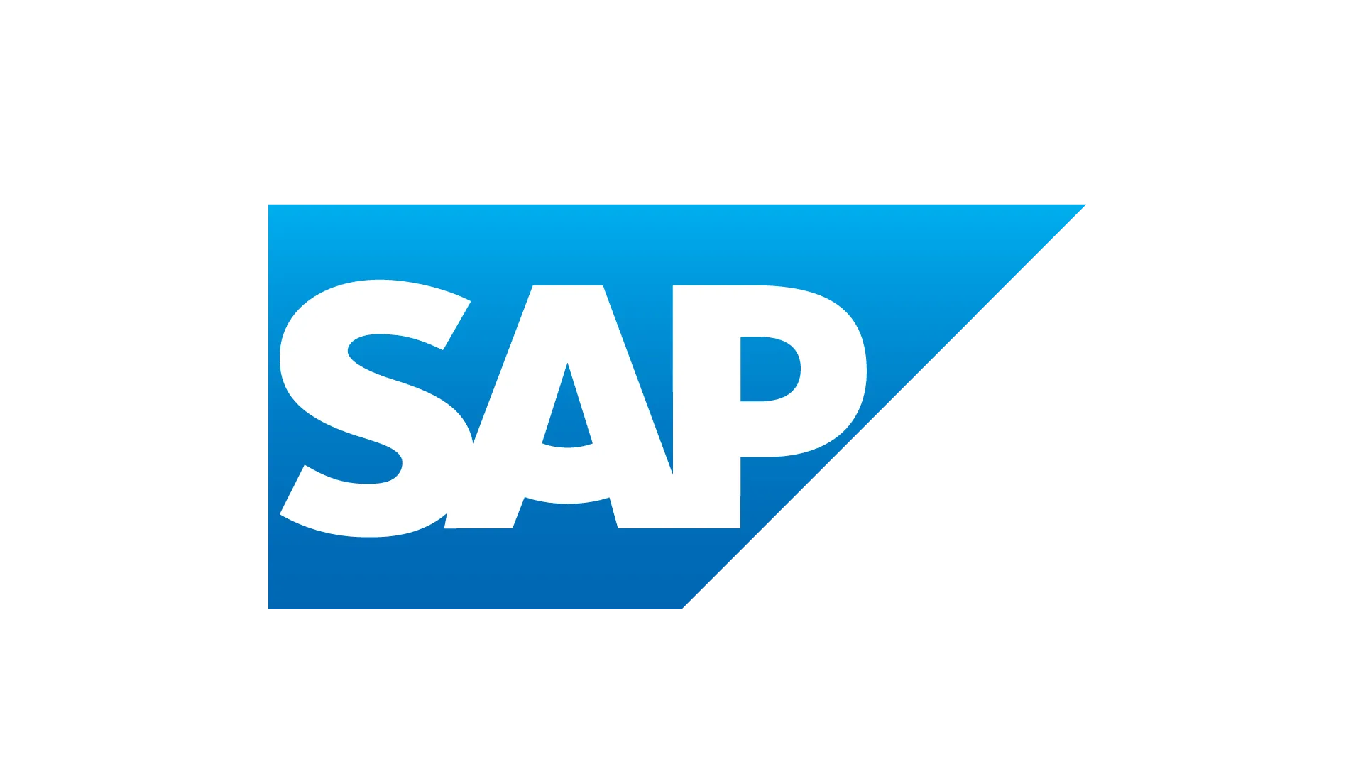 SAP Partner